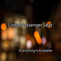 Loose Passenger Seat - Everything Is Available