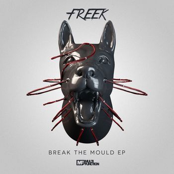 Freek - Break The Mould
