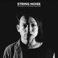 String Noise - The Book of Strange Positions