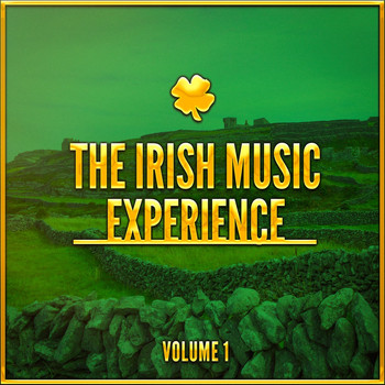 Irish Celtic Songs - The Irish Music Experience, Vol. 1 (A Selection of Traditional Music from Ireland)