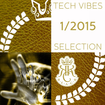 Various Artists - Tech Vibes Selection 1/2015