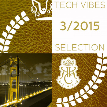 Various Artists - Tech Vibes Selection 3/2015