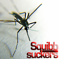Squibb - Suckers