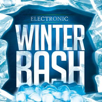 Various Artists - Electronic Winter Bash