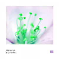Faberlique - Blossoming