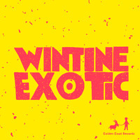 WINTINE - Exotic