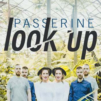 Passerine - Look Up