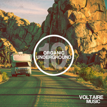 Various Artists - Organic Underground Issue 10