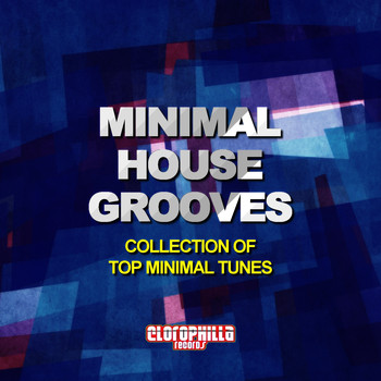 Various Artists - Minimal House Grooves (Collection of Top Minimal Tunes)