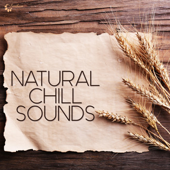 Various Artists - Natural Chill Sounds