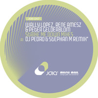 Wally Lopez, Rene Amesz & Peter Gelderblom - Strike Me Down (Remixes)