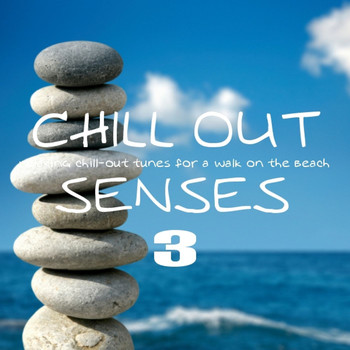 Various Artists - Chill Out Senses Vol. 3