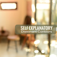 Self Explanatory - Dissonant Contours