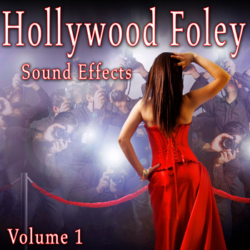 The Hollywood Edge Sound Effects Library - Hollywood Foley Sound Effects, Vol. 1