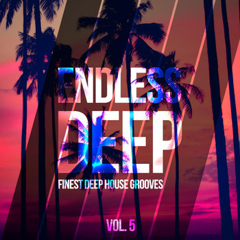 Various Artists - Endless Deep - Finest Deep House Grooves, Vol. 5