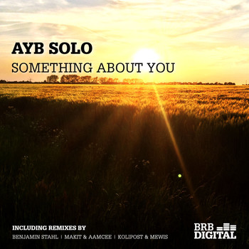 Ayb Solo - Something about you (Remixes)