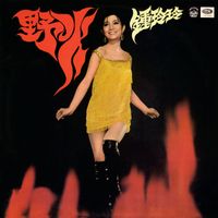 鍾玲玲 - 野火