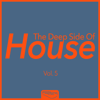 Various Artists - The Deep Side of House, Vol. 5 (Explicit)