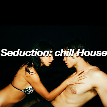 Various Artists - Seduction: Chill House