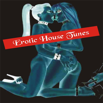 Various Artists - Erotic House Tunes