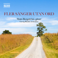 Mats Bergström - Fler sånger utan ord