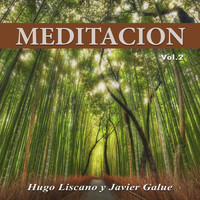 Hugo Liscano and Javier Galue - Meditación, Vol. 2