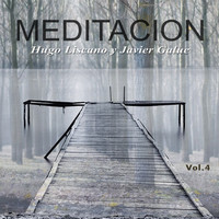 Hugo Liscano and Javier Galue - Meditación, Vol. 4