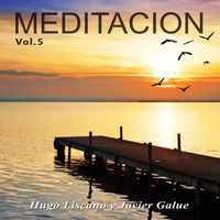 Hugo Liscano and Javier Galue - Meditación, Vol. 5