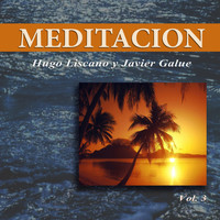 Hugo Liscano and Javier Galue - Meditación, Vol. 3
