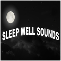 Easy Sleep Music, Deep Sleep Meditation and Music For Absolute Sleep - Sleep Well Sounds