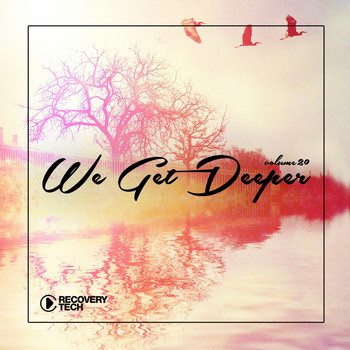 Various Artists - We Get Deeper, Vol. 20