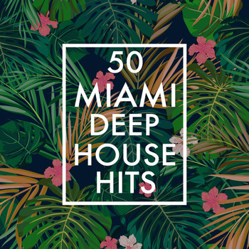 Various Artists - 50 Miami Deep House Hits