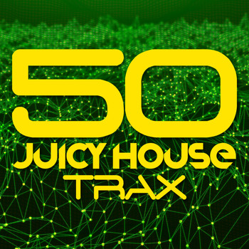 Various Artists - 50 Juicy House Trax