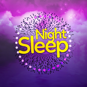 Various Artists - Night Sleep