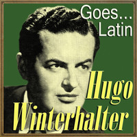 Hugo Winterhalter - Hugo Winterhalter Goes… Latin