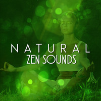 Ambient Nature Sounds - Natural Zen Sounds