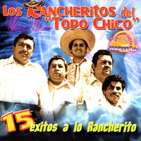 Los Rancheritos Del Topo Chico - 15 Éxitos a Lo Rancherito
