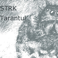Strk - Tarantul