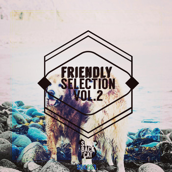 Various Artists - Friendly Selection, Vol. 2