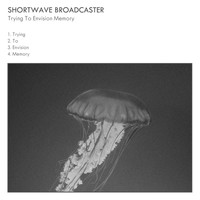 Shortwave Broadcaster - Trying to Envision Memory