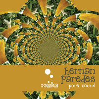 Hernan Paredes - Pure Sound