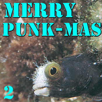 Various Artists - Merry Punk-Mas! Vol. 2