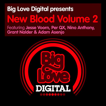 Various Artists - Big Love Digital presents New Blood, Vol. 2