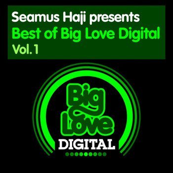 Various Artists - Seamus Haji presents Best of Big Love Digital, Vol. 1