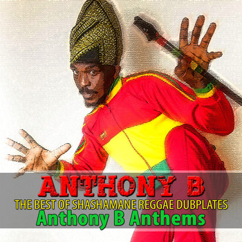 Anthony B - The Best of Shashamane Reggae Dubplates (Anthony B Anthems [Explicit])