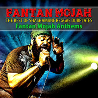 Fantan Mojah - The Best of Shashamane Reggae Dubplates (Fantan Mojah Anthems)