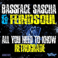 Bassface Sascha & Feindsoul - All You Need To Know / Retrograde