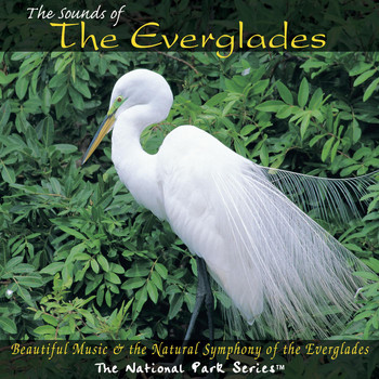 Dan Higgins - The Sounds of the Everglades