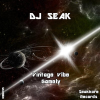 Dj Seak - Vintage Vibe / Gamely