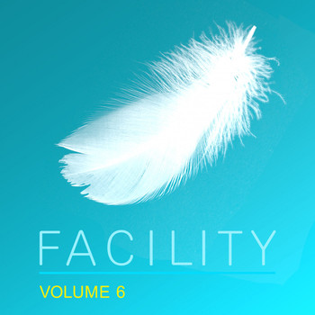 Various Artists - Facility, Vol. 6